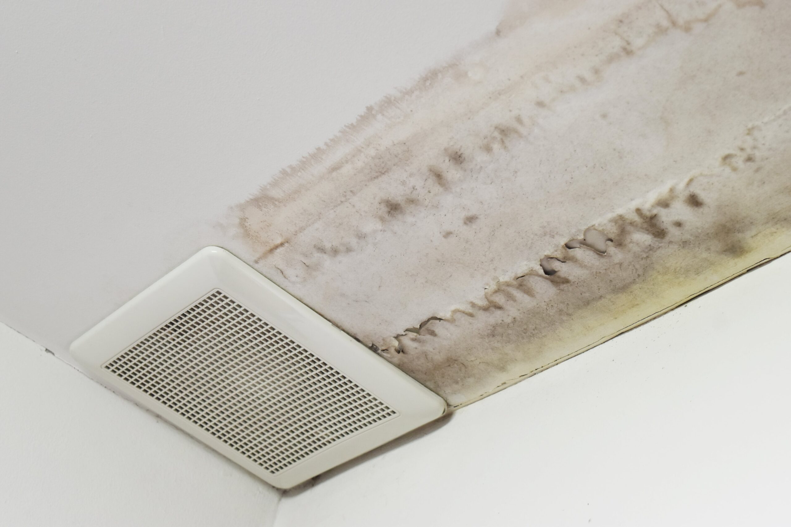 Mold on vent and ceiling show need for mold prevention and mold remediation