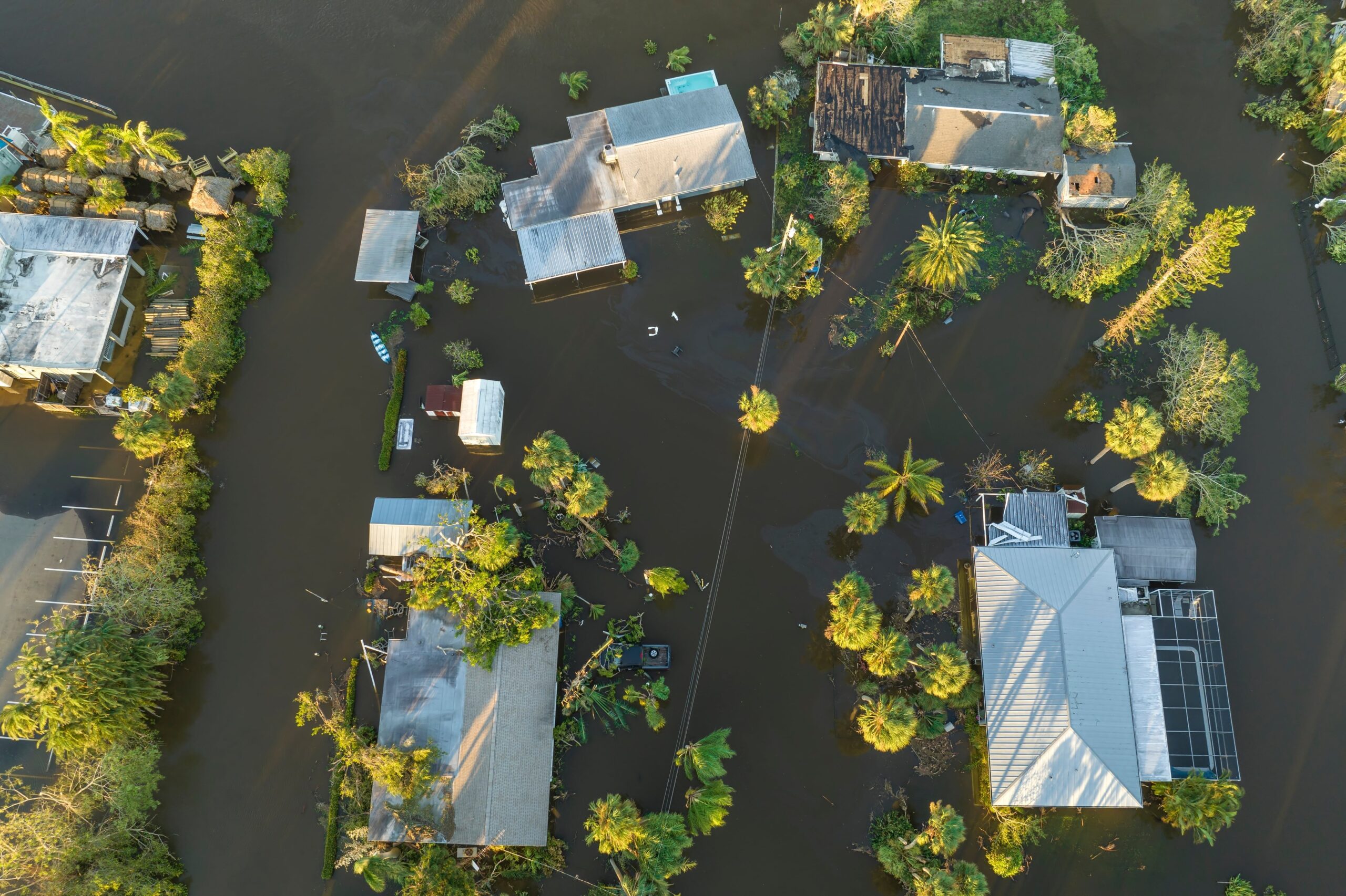 Hurricane Ian flooding around homes used to represent types of mold that can grow after flooding conditions