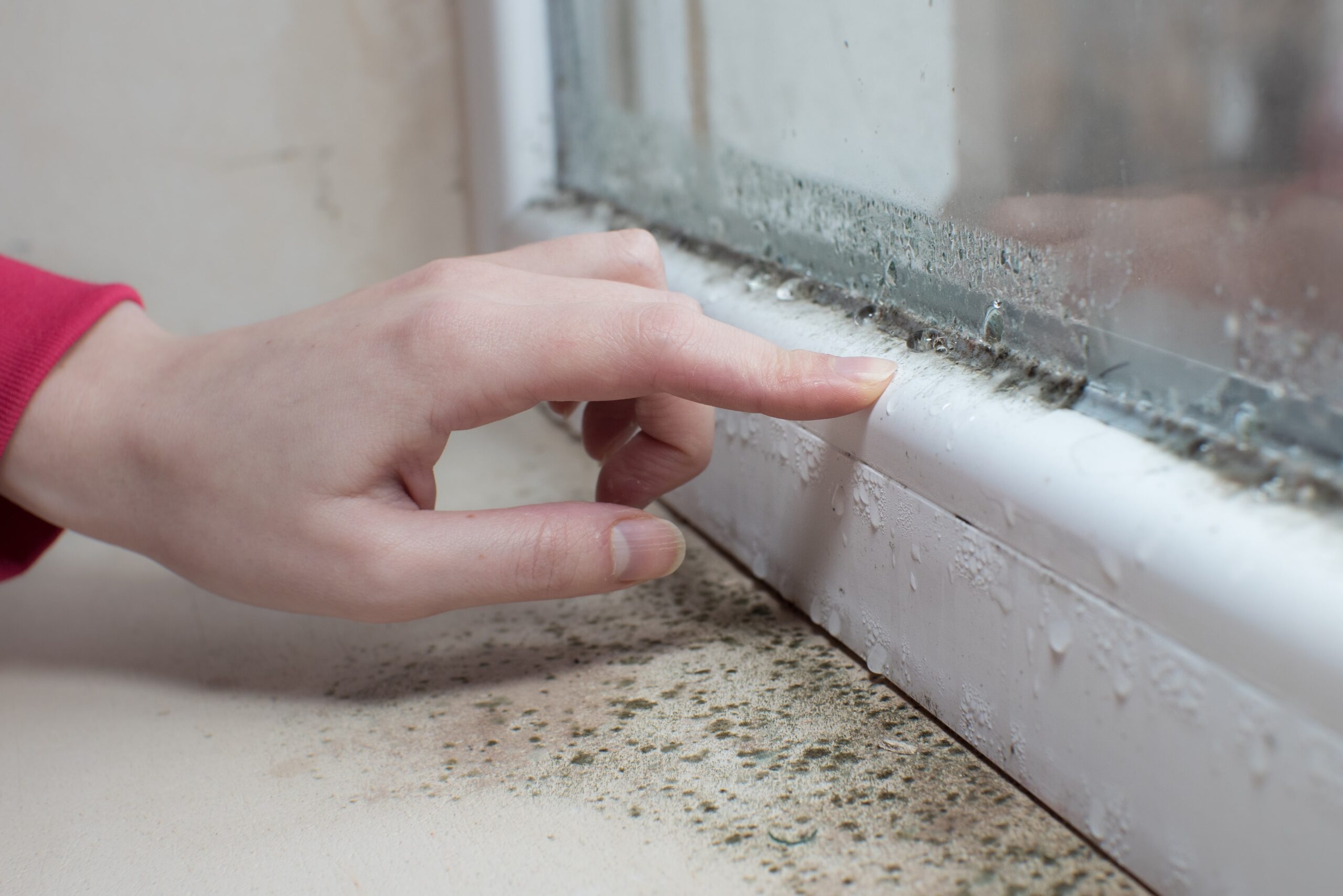 womans hand on leaking window just above mold growth on window ledge.