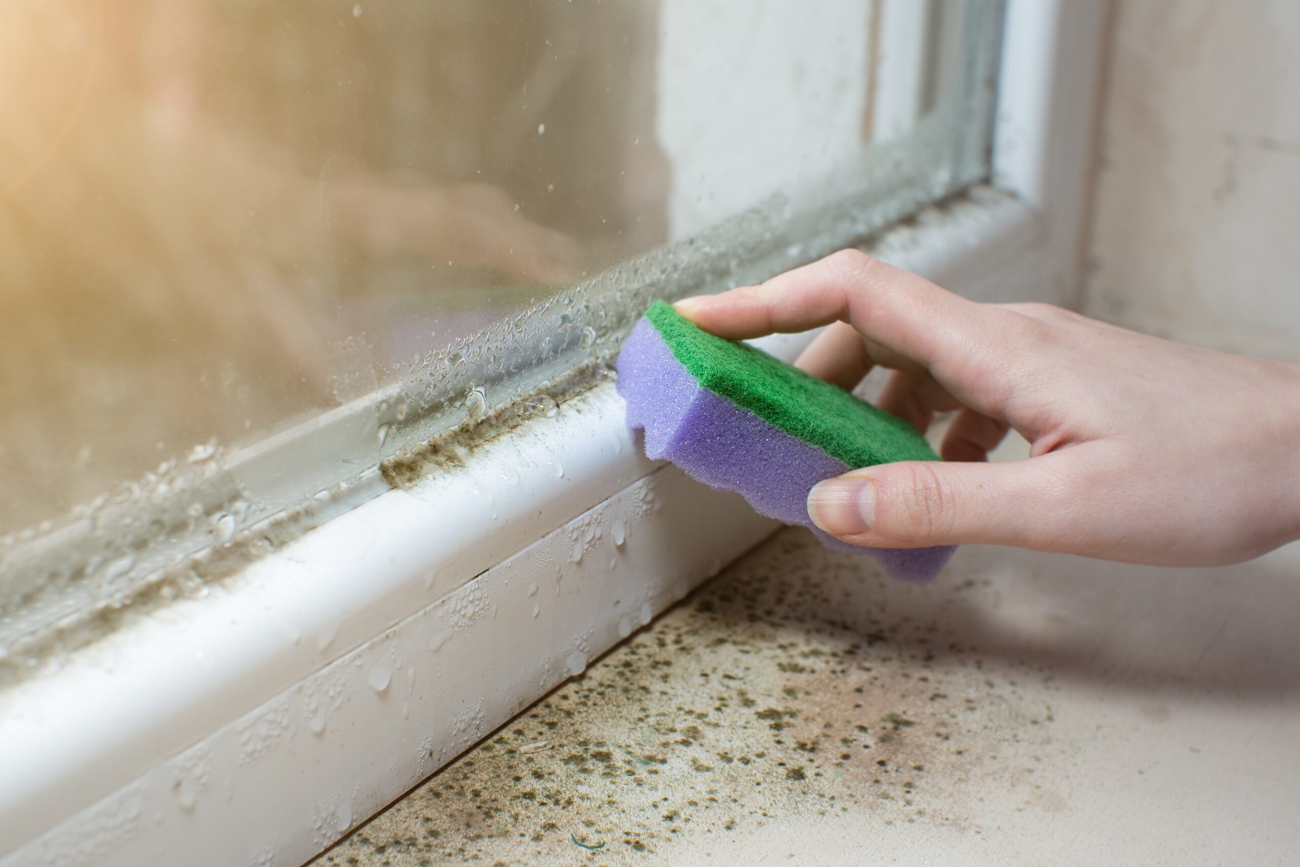 mold and mildew visible on bathroom windowsill and counter to show mold vs mildew difference