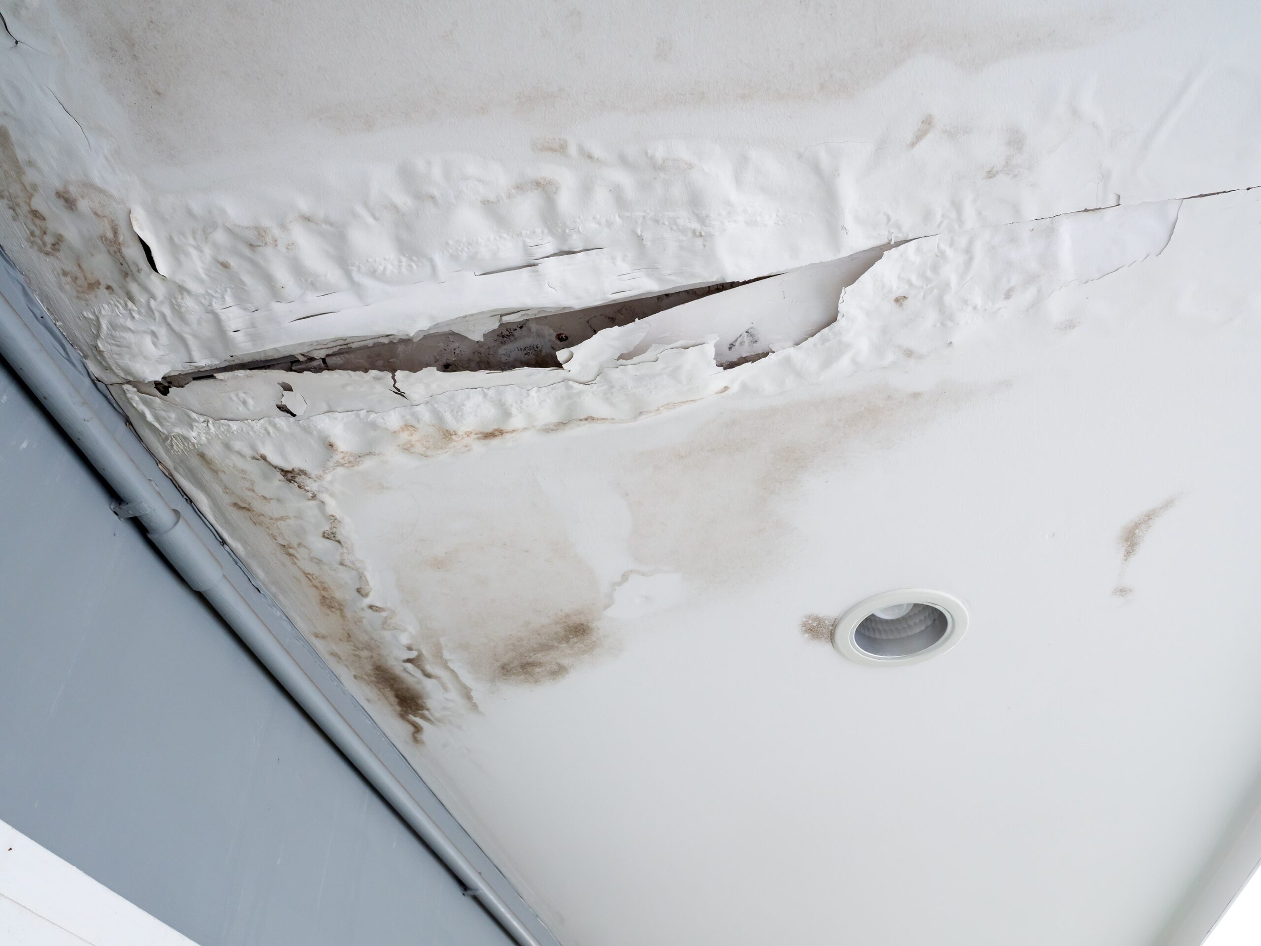 Severe Ceiling Water Leak with Mold Damage and Peeling Paint