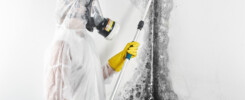 Mold Remediator Cleaning Mold in home or business