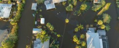 Hurricane Ian flooding around homes used to represent types of mold that can grow after flooding conditions