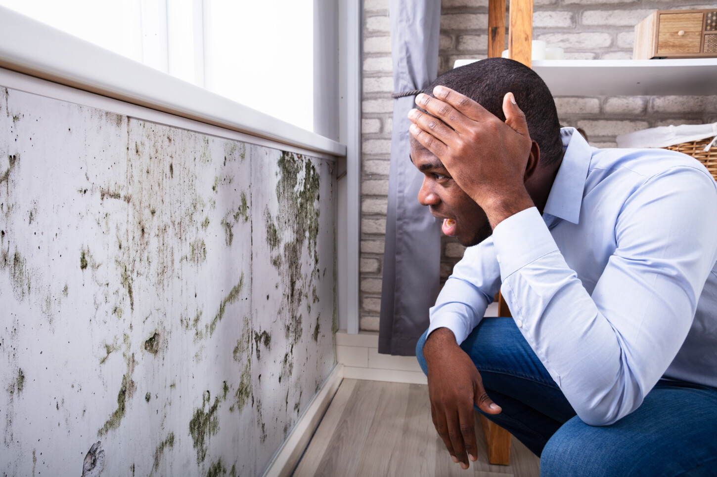 ERMI image showing man looking at mold on wall