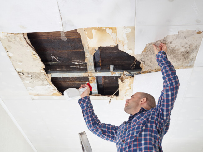 mold testing tampa