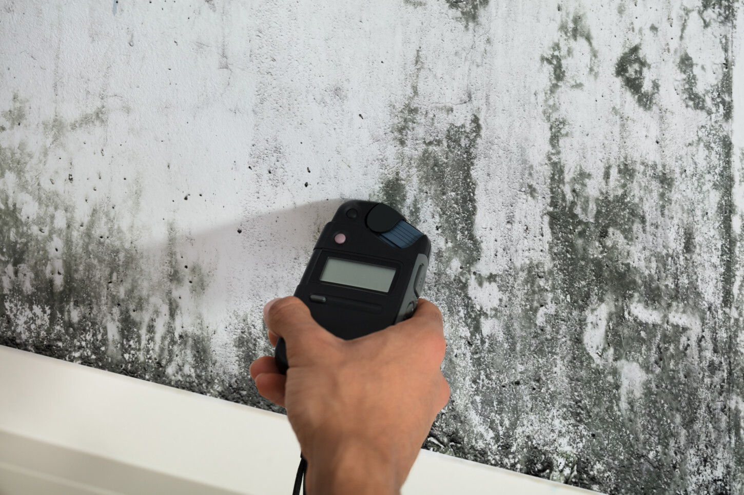 mold detection tips