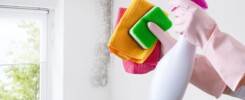 mold recovery tips represented by hands with gloves up holding bleach solution in front of moldy bedroom wall